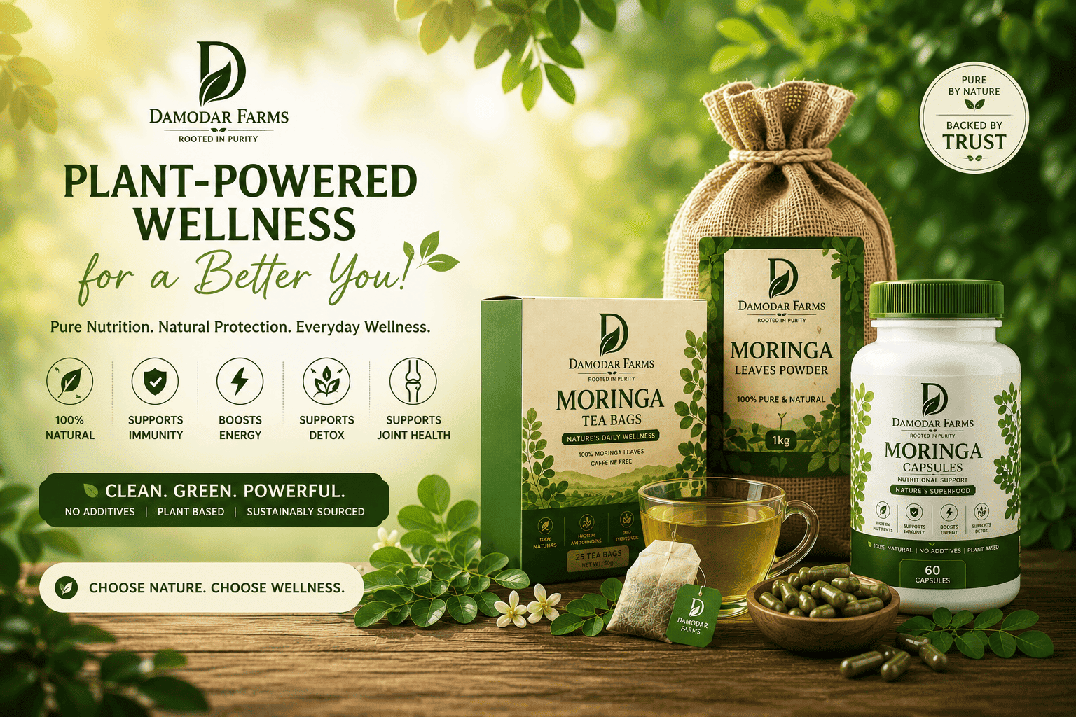 Moringa Products Manufacturer & Exporter from India Damodar Farms