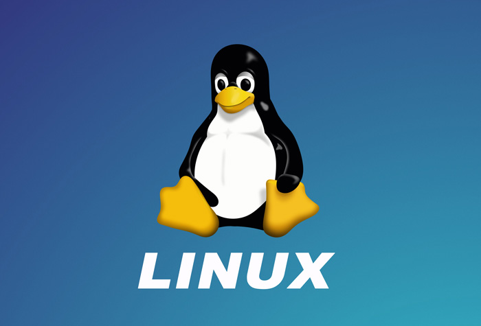 Linux Linux