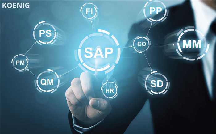 Live SAP system practice