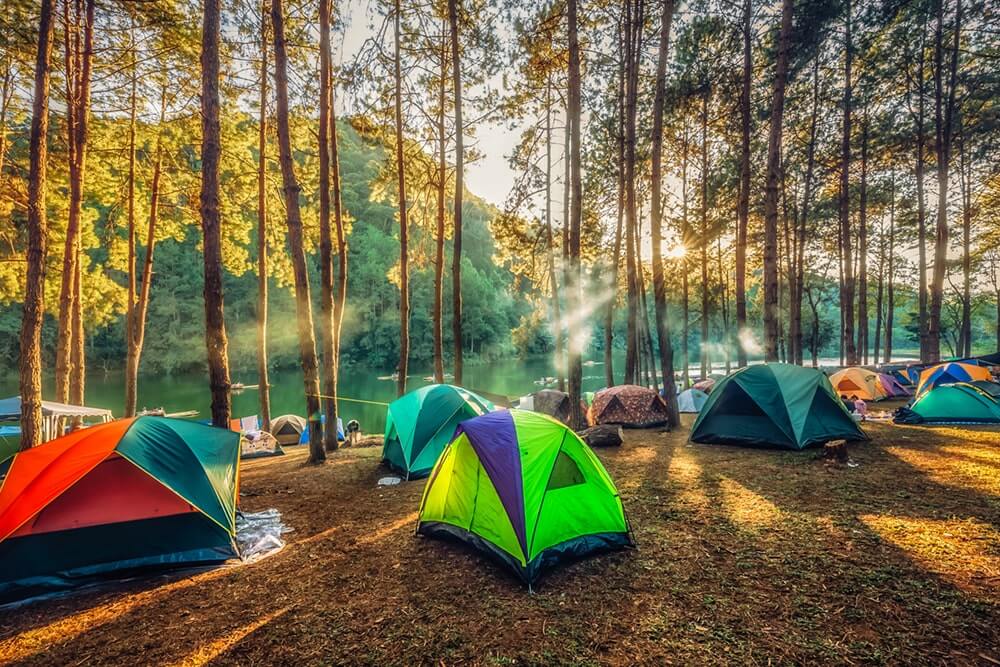 Your perfect lakeside adventure awaits.